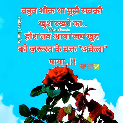 User
